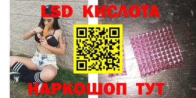 кокс Донской