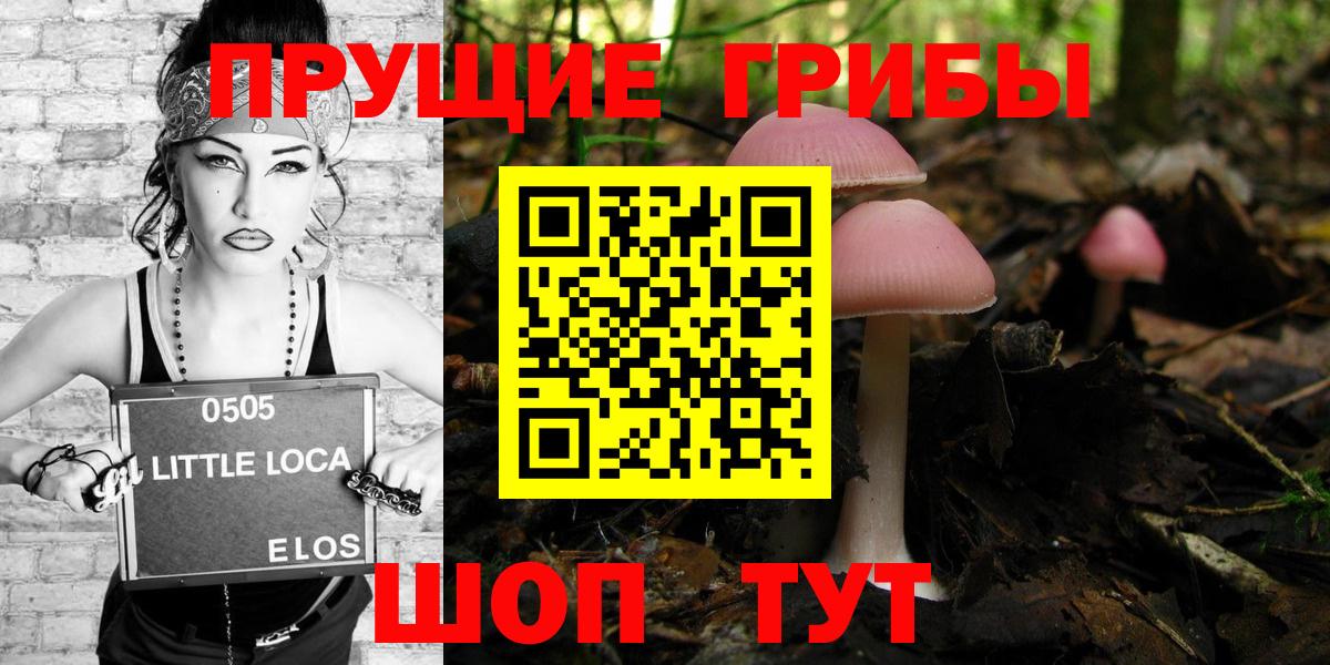 Галлюциногенные грибы Psilocybe  Вход с VPN  Псилоцибиновые грибы Psilocybe  Лысьва 