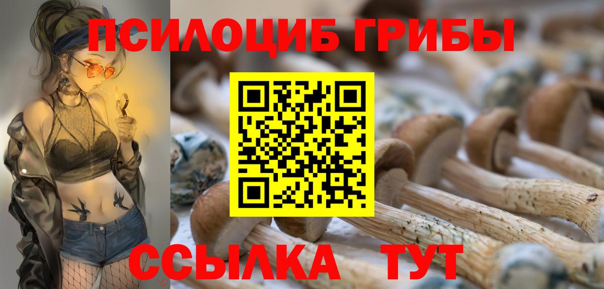 Псилоцибиновые грибы Psilocybine cubensis Лысьва
